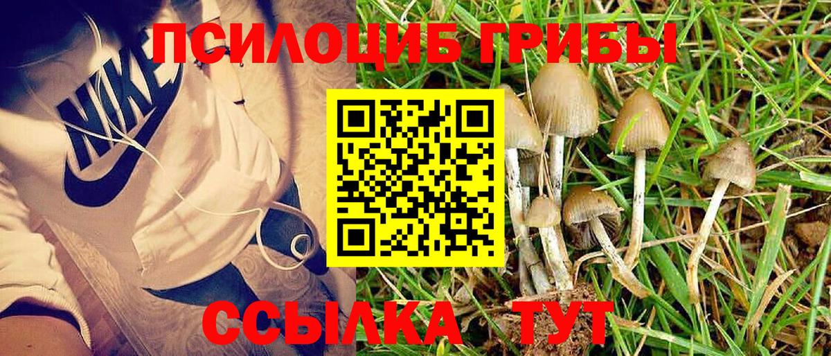Фрязино  Галлюциногенные грибы ЛСД  Вход с VPN  Галлюциногенные грибы мицелий 