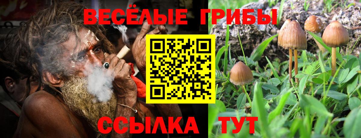 Псилоцибиновые грибы мицелий Фрязино